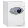 Fire Safe FSA-50DW
